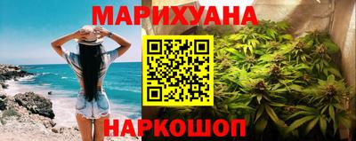 мдпв Бийск