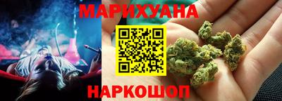 мдпв Бийск