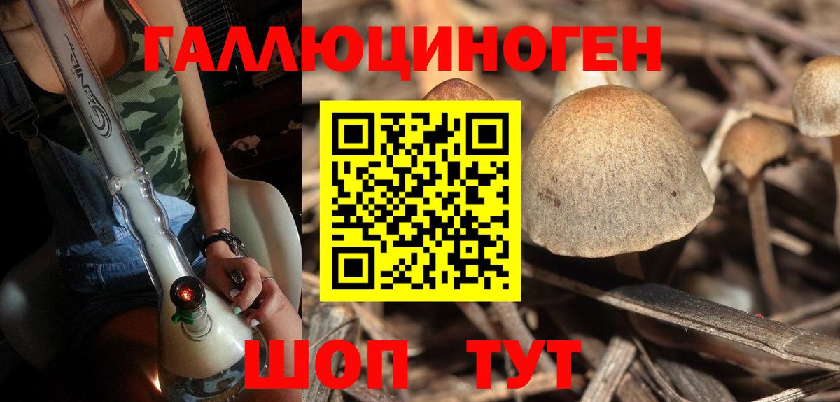 Галлюциногенные грибы Cubensis  Псилоцибиновые грибы GOLDEN TEACHER  Добрянка  Вход с VPN 